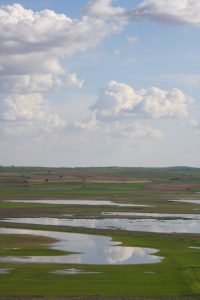 Lagunas de El Hito 2 (FILEminimizer)