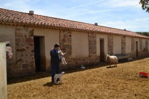 Petramora 061 (FILEminimizer)