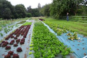 territorio bilbao y restaurante 260 (FILEminimizer)