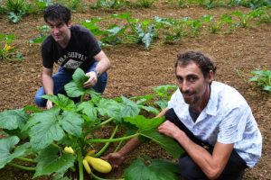 territorio bilbao y restaurante 343 (FILEminimizer)