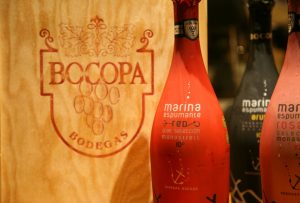 Vino espumoso de Monastrell de la bodega Bocopa.