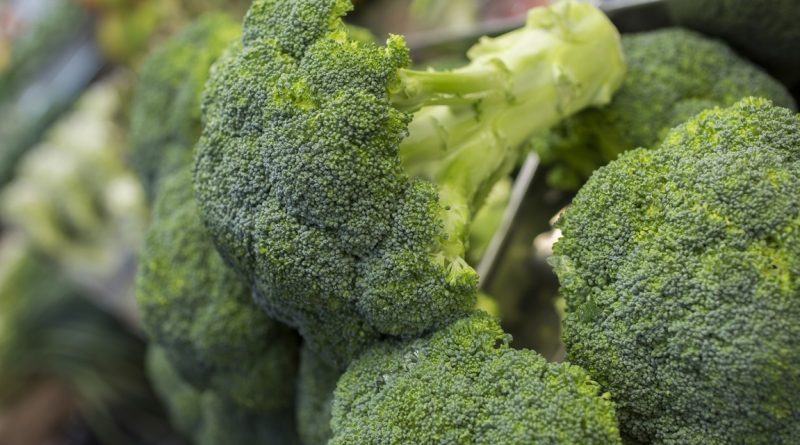 Alimentos que no contienen vitamina k