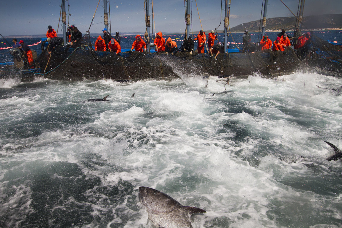 _CA_9597 (FILEminimizer)