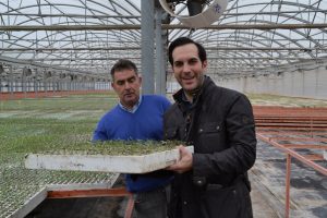 Coque y proveedores 072 (FILEminimizer)