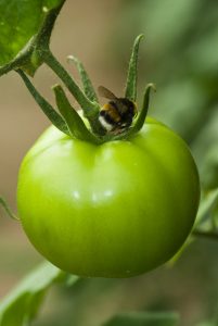 _DJC6841_Almería-Territorio_280910 FM