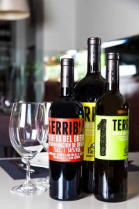 Vinos Terrible, que comercializan Iván y Álvaro