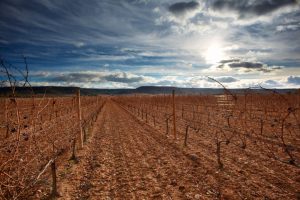 image-338 (FILEminimizer)