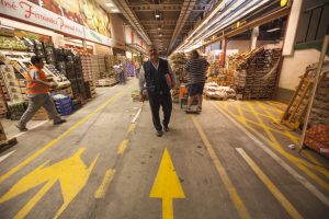 _mg_6214-fileminimizer