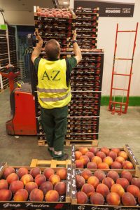 _mg_6232-fileminimizer