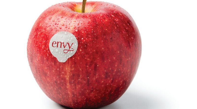 ha llegado envy la nueva manzana supersweet origen