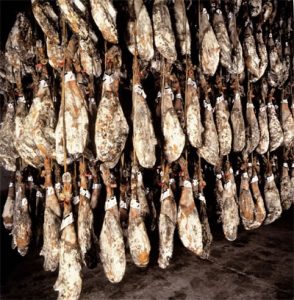Bodega Jamón Ibérico Bodega Jamón Ibérico