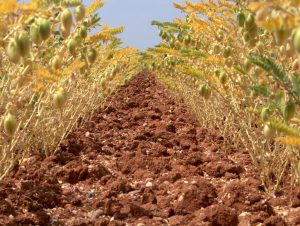 HPIM0192 (FILEminimizer)