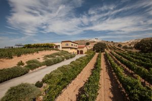 IMG_5192 @2016 Miquel Monfort (FILEminimizer)