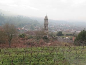 IMG_7250 (FILEminimizer)