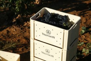 _MG_7512 (FILEminimizer)