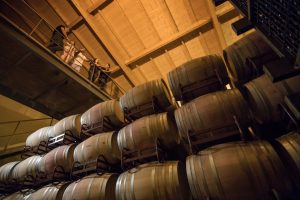 OP8A7062 @2016 Miquel Monfort (FILEminimizer)