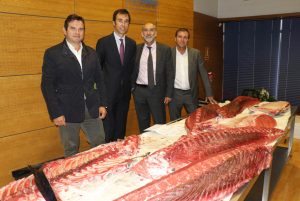 RONQUEO MERCAMADRID PIEZAS - 1 (FILEminimizer)