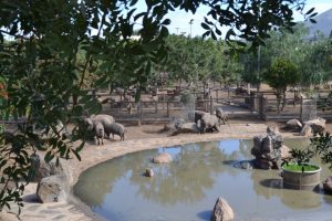 Finca de Uga e Isla de Lobos 009 (FILEminimizer)