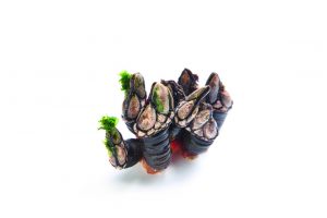 PERCEBES (FILEminimizer)