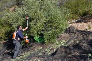 Sierra del Segura - Origen 093 (FILEminimizer)