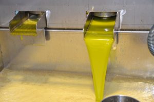 Sierra del Segura - Origen 155 (FILEminimizer)