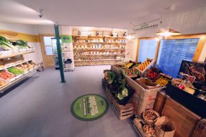 tienda (FILEminimizer)