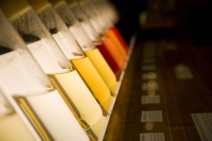 Bodega Martin Codax Sala de los sentidos (4) (FILEminimizer)