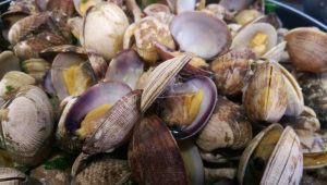 Restaurante Ribadomar. Almejas (FILEminimizer)