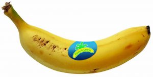 Asprocan