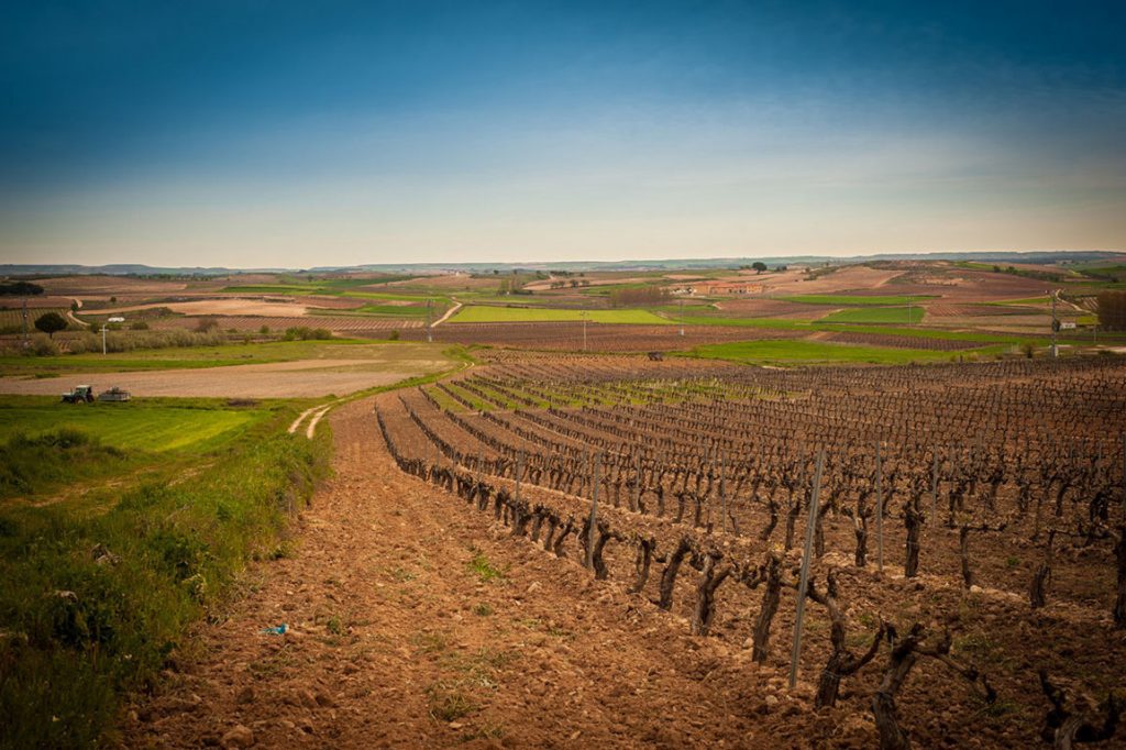 Ribera de Duero, destino para 2018