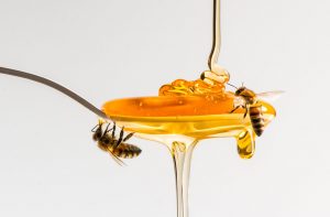 Abejas