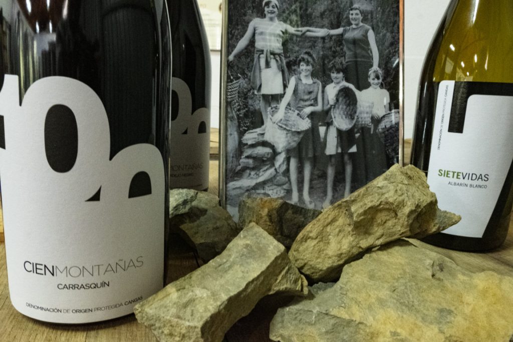 Foto de Bodegas Vidas en Grisel, Zaragoza