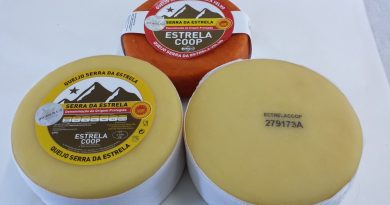Queijo Serra da Estrela, ancestral artesanía portuguesa Queijo Serra da Estrela, ancestral artesanía portuguesa