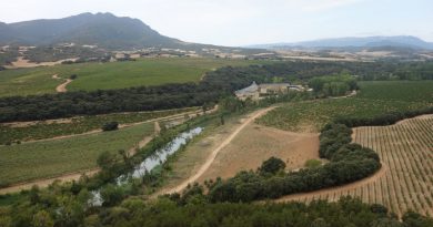 Propiedad de Arínzano: Leyenda viva del vino navarro Propiedad de Arínzano: Leyenda viva del vino navarro