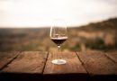 Las ventas de vino DOP Somontano crecieron más del 11 por 100 en 2021