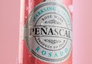 Peñascal To Go, la innovadora propuesta del rosado más vendido en España