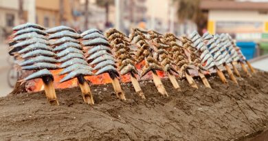 LUGARES PUNTUALES: Las sardinas, a la brasa, y el chipirón, en su tinta LUGARES PUNTUALES: Las sardinas, a la brasa, y el chipirón, en su tinta