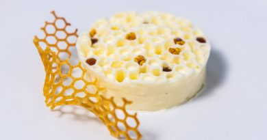 La chef Michelín María José Martínez apoya al sector apícola valenciano La chef Michelín María José Martínez apoya al sector apícola valenciano