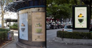Las aceitunas se reinventan Las aceitunas se reinventan