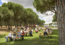El 24 de junio será el Día Pruno, primer wine festival del verano