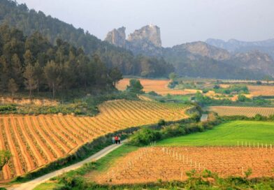 Eso que sientes es La Rioja
