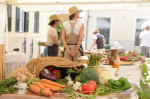 DSC 9448 (FILEminimizer)