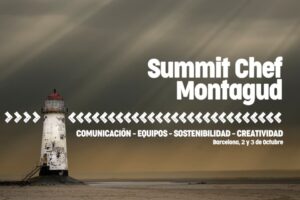 LG SUMMIT NL-copia m