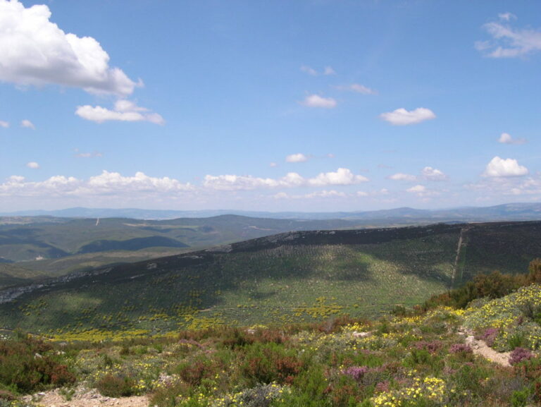 Sierra de la Culebra (FILEminimizer)