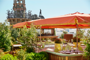 dani brasserie 2