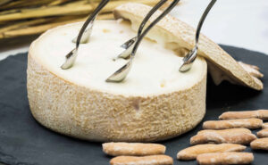 QUESO 01 (FILEminimizer)