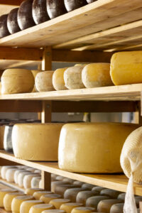 varias-ruedas-queso-madurado (FILEminimizer)