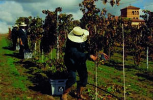 04. Arribes del Duero 2 04. Arribes del Duero 2