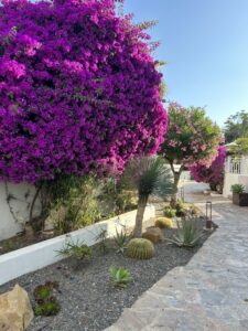 IMG 2888 (FILEminimizer)