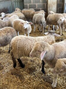 IMG 4537 (FILEminimizer)